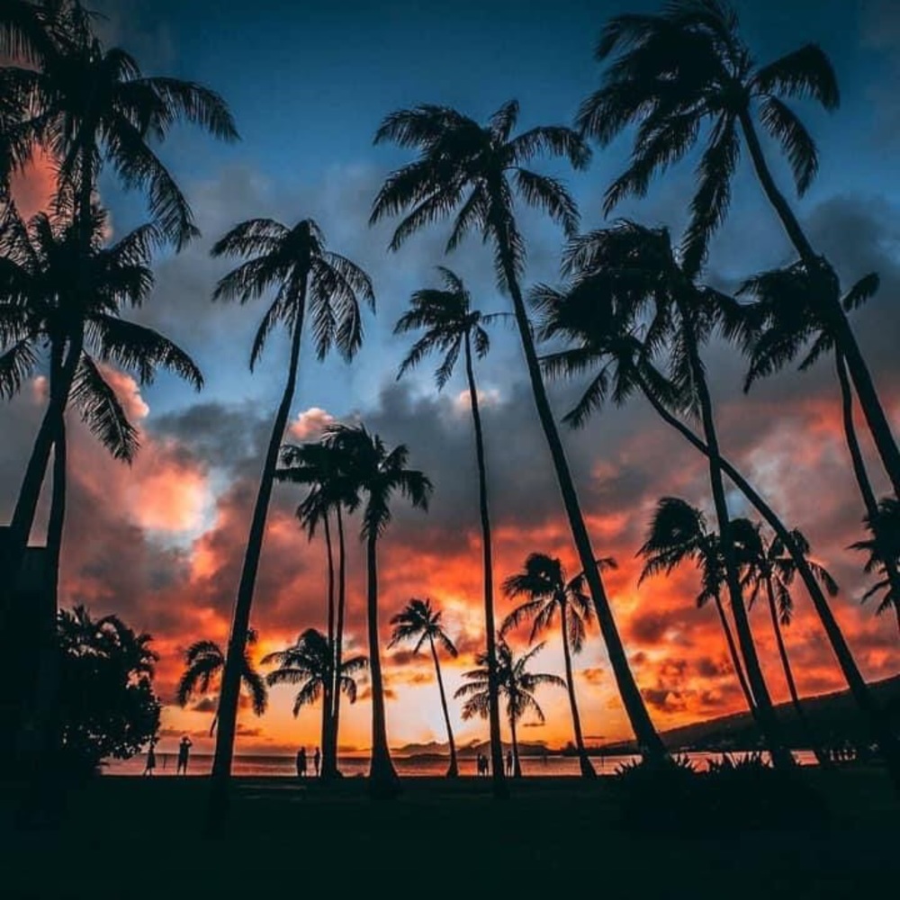 Meet your Posher, Kristin